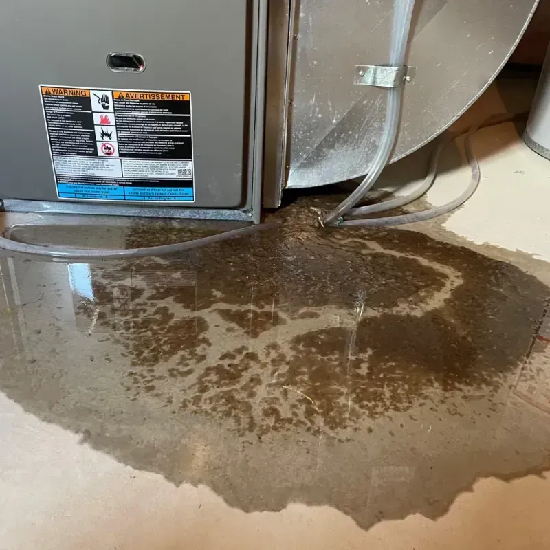 Appliance Leak Cleanup in Cary, IL